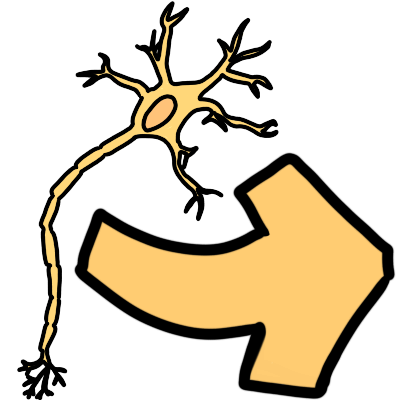 A yellow adrawing of a neuron with a big light orange arrow pointing from it to the right.